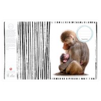 Schriften | Heutink | Dieren moeder + kind | Blokschrift | Liniatuur 3-4-3 mm | 25 stuks 