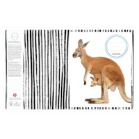 Schriften | Heutink | Dieren moeder + kind | Blokschrift | Liniatuur 3-4-3 mm | 25 stuks 