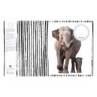 Schriften | Heutink | Dieren moeder + kind | Blokschrift | Liniatuur 3-4-3 mm | 25 stuks 