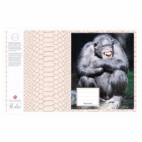 Schriften | Heutink | Gekke dieren | Liniatuur ruit 5 mm | 25 stuks