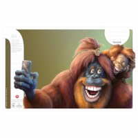 Schriften | Heutink | Animatie dieren | Liniatuur 6-4-6 mm | 25 stuks 