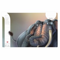 Schriften | Heutink | Animatie dieren | Liniatuur 6-4-6 mm | 25 stuks 