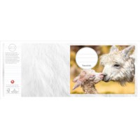 Schriften | Heutink | Dieren moeder + kind | Liniatuur 6-4-6 mm | 25 stuks 