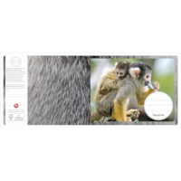 Schriften | Heutink | Dieren moeder + kind | Liniatuur 6-4-6 mm | 25 stuks 