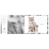 Schriften | Heutink | Dieren moeder + kind | Liniatuur 6-4-6 mm | 25 stuks 