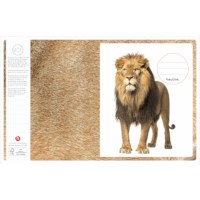 Schriften | Heutink | Wildlife | Liniatuur commerciaal 4 x 7,5 mm | 25 stuks  