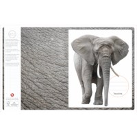 Schriften | Heutink | Wildlife | Liniatuur commerciaal 4 x 7,5 mm | 25 stuks  