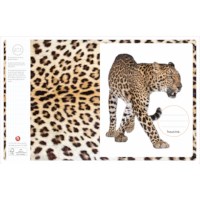 Schriften | Heutink | Wildlife | Liniatuur commerciaal 4 x 7,5 mm | 25 stuks  