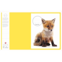 Schriften | Heutink | Jonge dieren | Liniatuur 9-6-9 mm | 25 stuks