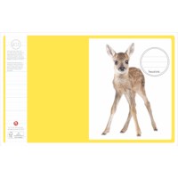 Schriften | Heutink | Jonge dieren | Liniatuur 9-6-9 mm | 25 stuks