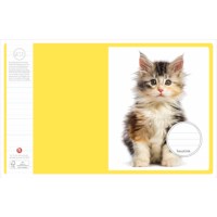 Schriften | Heutink | Jonge dieren | Liniatuur 9-6-9 mm | 25 stuks