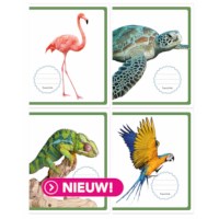 Schriften | Heutink | Tropisch | Blokschrift | Liniatuur 4-4-4 mm | 25 stuks