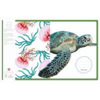 Schriften | Heutink | Tropisch | Blokschrift | Liniatuur 4-4-4 mm | 25 stuks