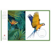 Schriften | Heutink | Tropisch | Blokschrift | Liniatuur 4-4-4 mm | 25 stuks