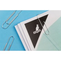 Paperclips | Verzinkt | 50 mm | Doosje à 100 stuks