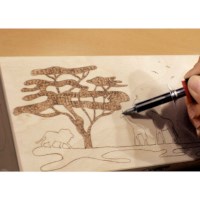 Houtbrander | Pebaro | Compleet