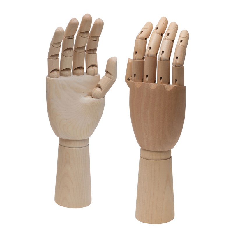 Modelhand | Rechts | Man | 30 cm