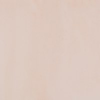 Plakkaatverf zalmroze 1 liter | Ecola