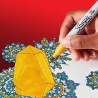 Marker permanent | Sharpie |  Seasonal | Fijne punt | 24 kleuren