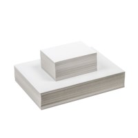 Prikkartons wit | 12,5 x 17,5 cm | Pak à 250