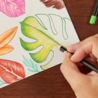 Kleurpotloden | Bic Intensity Premium | Etui 12 stuks