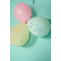 Ballonnen Nijntje | Haza | Assorti | 5 stuks 