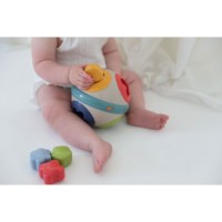 Vormen sorteerbal | Tolo Bio