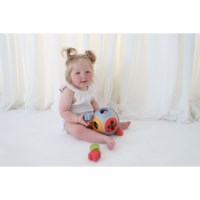 Vormen sorteerbal | Tolo Bio