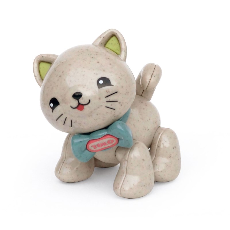 Kitten | Tolo | First Friends | Bio