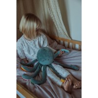 Verzwaringskussen octopus | 1,2 kg