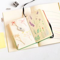 Gum | Bic galet | 12 Stuks