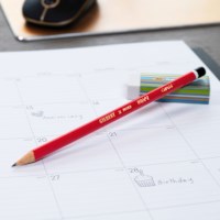 Tekenpotloden | Bic Gilbert | HB | 12 Stuks