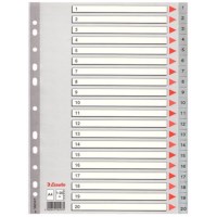 Tabbladen kunststof A4 - GROOT FORMAAT | Esselte | 11-gaats | 20-delig, bedrukt 1-20