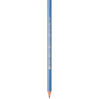 Schrijfpotloden | Bic Ecolution | Triple Dun | HB |12 Stuk