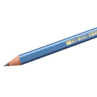Schrijfpotloden | Bic Ecolution | Triple Dun | HB |12 Stuk