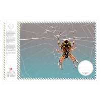 Schriften | Heutink | Insecten | Liniatuur 24 lijnen | 25 stuks 