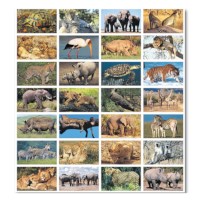 Beloningsstickertjes | Wilde dieren | Serie 140