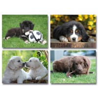 Ansichtkaarten groot | Jonge hondjes | Serie 950