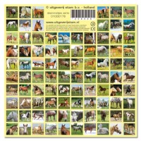 Beloningsstickertjes | Paarden | Serie 178