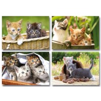 Mini posters | Kittens | Serie 11087
