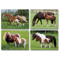 Mini posters | Paarden | Serie 11090