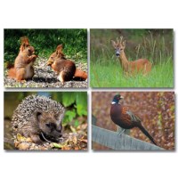 Mini posters | Bosdieren | Serie 12067