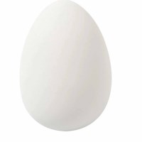 Eieren | Wit | 5.5 cm | 8 stuks