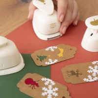 Figuurpons | Set Winter | 5 stuks