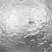 Acrylverf | A-color | Zilver glans | 500 ml