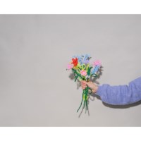 Chenilledraad | Folia | Pastel | 50 cm | 10 stuks