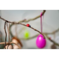 Eieren | Plastic | Assorti | 6 cm | 6 stuks   