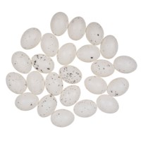 Eieren kievit | Kunststof | 6 cm | 24 stuks