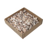 Schelpen klein | Assorti |  620 gram