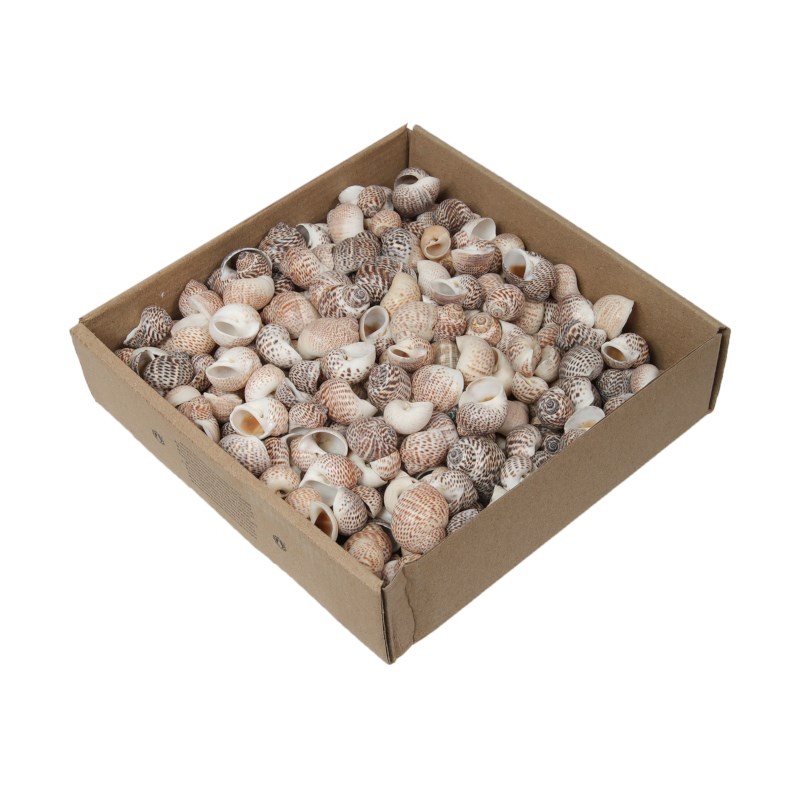 Schelpen klein | Assorti |  620 gram